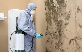 Mold Remediation for Vacation Homes in Cleveland, TX